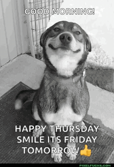 Smiling Dog On Rug GIF
