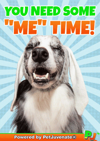 Smiling Dog Saying You Need Some Me Time GIF