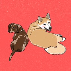 Smiling Dog Sticker Cartoon GIF