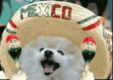 Smiling Dog Viva Mexico Hat GIF