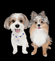 Smiling Dog Yorkshire Terrier Pomeranian GIF