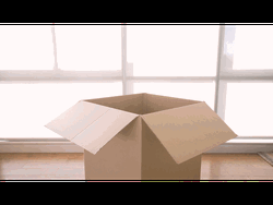Smiling Girl Coming Out From Box GIF