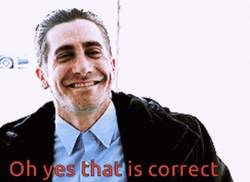 Smiling Jake Gyllenhaal That Is Correct GIF