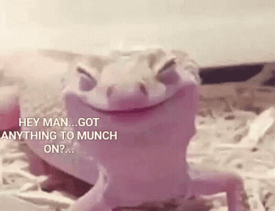 Smiling Lizard Saying Hey Man Got Anything To Munch On GIF