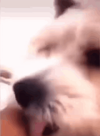 Smiling Man And Woman GIF