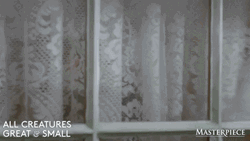 Smiling Man Curtain Opening GIF