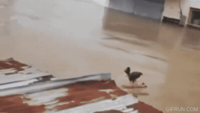 Smiling Man Suit And Tie Black White Coconut GIF