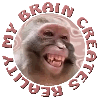Smiling Monkey My Brain Creates Reality Sticker