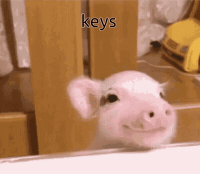Smiling Pig Looking Out Window Keys GIF