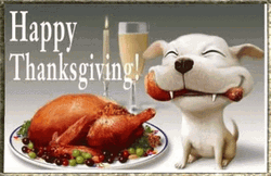 Smiling Puppy Happy Thanksgiving Turkey GIF