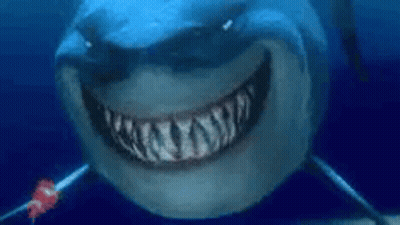 Smiling Shark Close Up In Ocean GIF