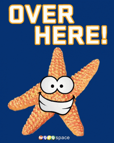 Smiling Starfish Saying Over Here GIF