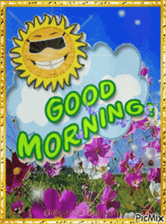 Smiling Sun Shades Monday Good Morning  GIF
