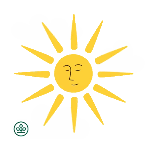 Smiling Sun With Green Plant Circle Sticker