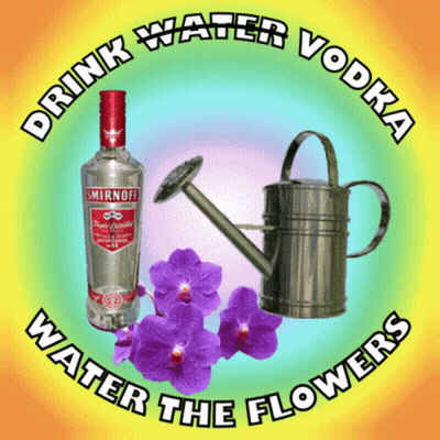 Smirnoff Vodka Bottle And Watering Can With Purple Flowers GIF