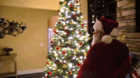 Sml Santa Claus GIF
