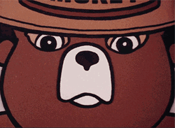 Smokey American Bear Think Animated GIF