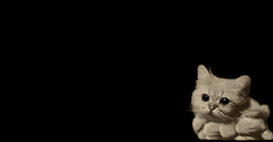 Smokey Cat Cute Air Explosion GIF