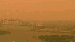 Smokey Haze Sydney Bushfire Crisis GIF