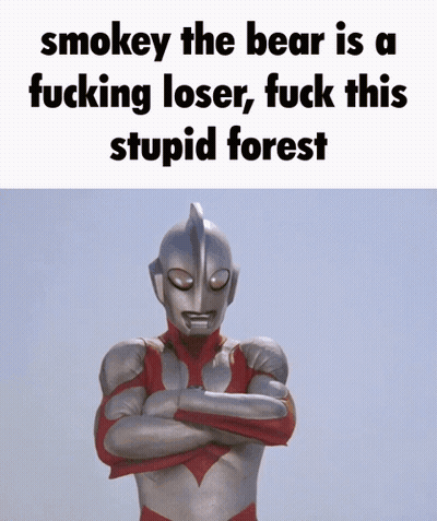 Smokey The Bear Is A Fucking Loser Fuck This Stupid Forest Is Written On A White Background GIF