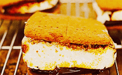 Smores And Crackers Snack GIF