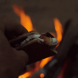 Smores On Fire Flavor GIF