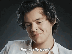 Smug Harry Styles Felt Really Good GIF