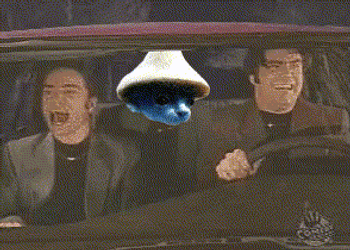 Smurf Cat Night At Roxbury Doug Steve Butabi GIF