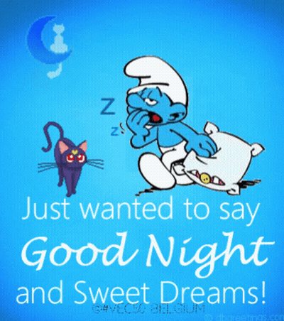 Smurf Sleeping Next To Cat Good Night GIF