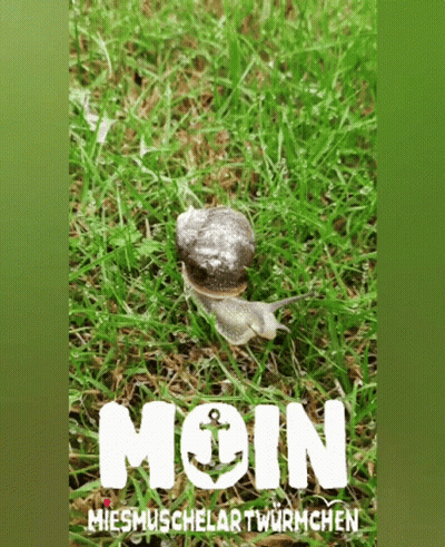 Snail Crawling In Grass Moin GIF