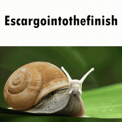 Snail Crawling On Green Leaf Escargointothefinish GIF