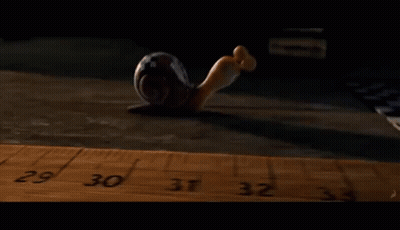 Snail Crawling On Wooden Ruler Number 30 GIF