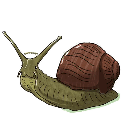 Snail Drawing With Swipe Up Sticker