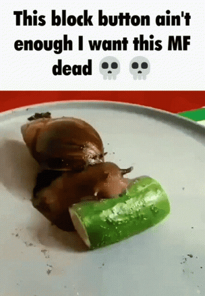 Snail Eating Cucumber This Block Button Ain T Enough GIF
