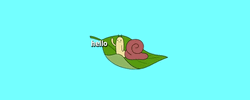 Snail Flying Hello Adventure Time GIF