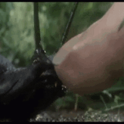 Snail Scary Bite Horror Finger GIF