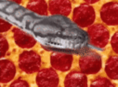 Snake Crawling On Pizza GIF