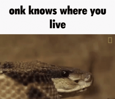 Snake Head With Onk Knows Where You Live GIF