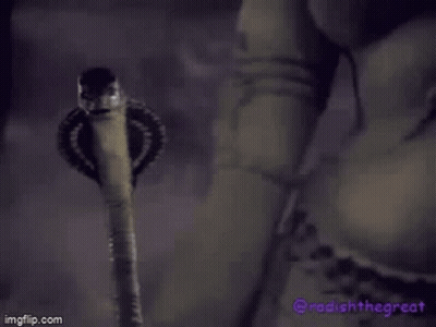 Snake Holding Sword In Mouth Purple Background GIF