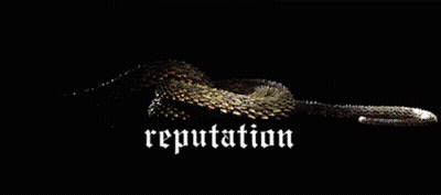 Snake Laying Down With Reputation GIF