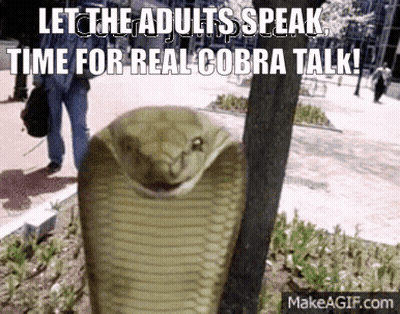 Snake Let The Adults Speak Time For Real Cobra Talk GIF