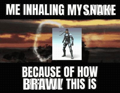 Snake Me Inhaling My Snake How Brawl This Is GIF