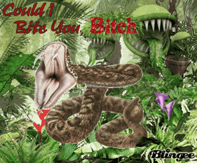 Snake Saying Could I Bite You Bitch GIF