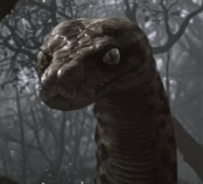 Snake Saying I Know What You Are GIF