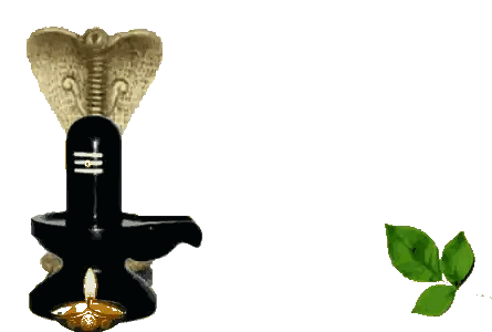 Snake Statue Next To Candle And Leaf Sticker