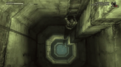 Snake Video Game In Woodland Tiger Stripe Area GIF