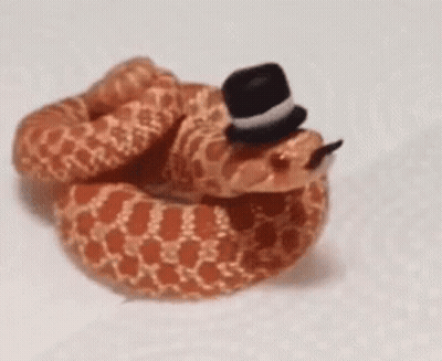 Snake Wearing Top Hat With Tongue GIF
