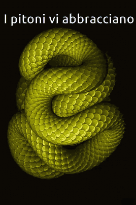 Snake With I Pitoni Vi Abbracciano GIF