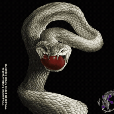 Snake With Red Apple In Mouth GIF