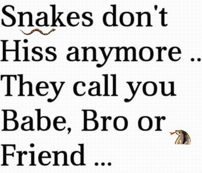 Snakes Don't Hiss Anymore Poster GIF